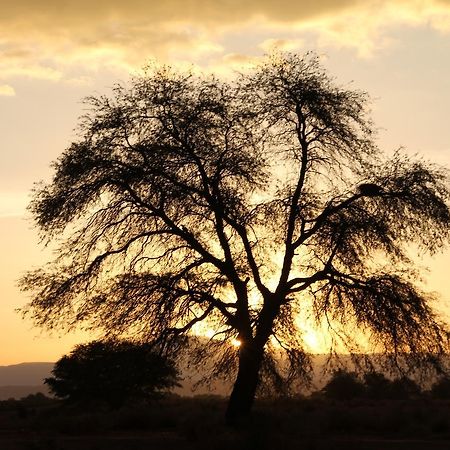 Andes Nomads Desert Camp & Lodge ซานเปโดร เด อาตากามา ภายนอก รูปภาพ