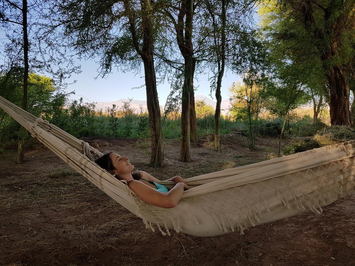Andes Nomads Desert Camp & Lodge ซานเปโดร เด อาตากามา ภายนอก รูปภาพ