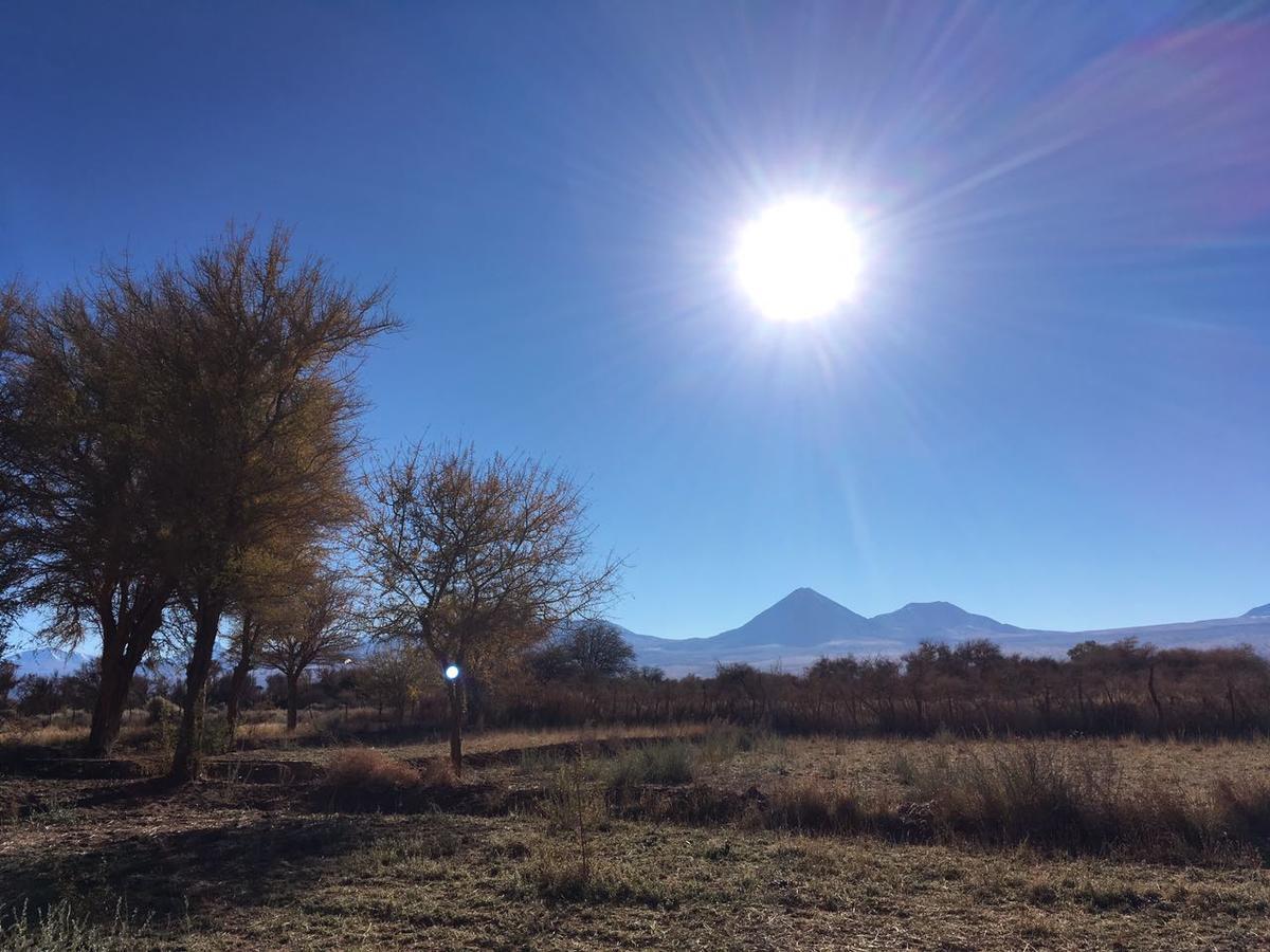 Andes Nomads Desert Camp & Lodge ซานเปโดร เด อาตากามา ภายนอก รูปภาพ