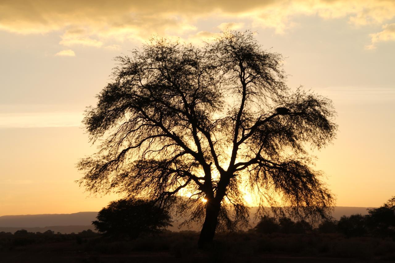 Andes Nomads Desert Camp & Lodge ซานเปโดร เด อาตากามา ภายนอก รูปภาพ